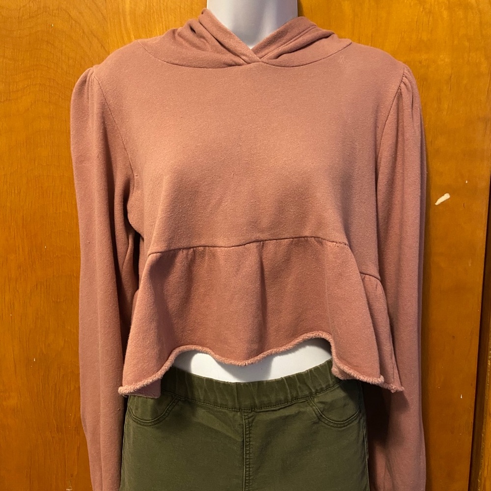 Urban Outfitters Cropped Hoodie